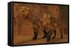 Two Smilodon Cats Find Protection in a Vast Cave System-null-Framed Stretched Canvas