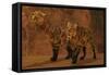 Two Smilodon Cats Find Protection in a Vast Cave System-null-Framed Stretched Canvas