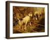 Two Smooth-Haired Fox Terriers by a Fishing Rod and a Creel on a Riverbank-Philip Eustace Stretton-Framed Giclee Print