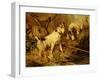 Two Smooth-Haired Fox Terriers by a Fishing Rod and a Creel on a Riverbank-Philip Eustace Stretton-Framed Giclee Print