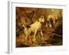 Two Smooth-Haired Fox Terriers by a Fishing Rod and a Creel on a Riverbank-Philip Eustace Stretton-Framed Giclee Print