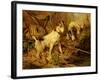 Two Smooth-Haired Fox Terriers by a Fishing Rod and a Creel on a Riverbank-Philip Eustace Stretton-Framed Giclee Print