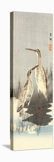 Two Snipes-Koson Ohara-Stretched Canvas