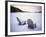 Two Snow-covered Chairs Outdoors-Ralph Morsch-Framed Photographic Print