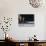 Two Somali Cats Sitting on Window Ledge, Italy-Adriano Bacchella-Photographic Print displayed on a wall