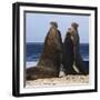 Two Southern Elephant Seal (Mirounga Leonina) Bulls Rear Up to Establish Dominance-Eleanor Scriven-Framed Photographic Print