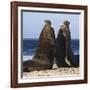 Two Southern Elephant Seal (Mirounga Leonina) Bulls Rear Up to Establish Dominance-Eleanor Scriven-Framed Photographic Print