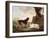 Two Spaniels in a Landscape-Charles Towne-Framed Giclee Print