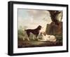 Two Spaniels in a Landscape-Charles Towne-Framed Giclee Print