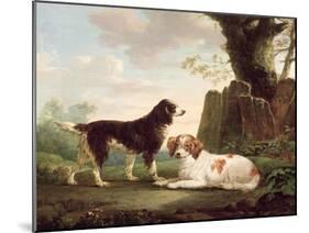 Two Spaniels in a Landscape-Charles Towne-Mounted Giclee Print