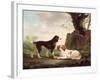 Two Spaniels in a Landscape-Charles Towne-Framed Giclee Print