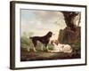 Two Spaniels in a Landscape-Charles Towne-Framed Giclee Print