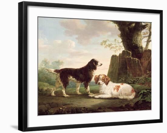 Two Spaniels in a Landscape-Charles Towne-Framed Giclee Print