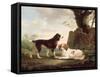 Two Spaniels in a Landscape-Charles Towne-Framed Stretched Canvas
