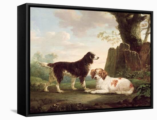 Two Spaniels in a Landscape-Charles Towne-Framed Stretched Canvas