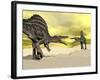 Two Spinosaurus Dinosaur Fighting in the Desert-null-Framed Art Print