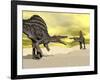 Two Spinosaurus Dinosaur Fighting in the Desert-null-Framed Art Print