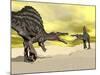 Two Spinosaurus Dinosaur Fighting in the Desert-null-Mounted Art Print