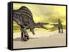 Two Spinosaurus Dinosaur Fighting in the Desert-null-Framed Stretched Canvas