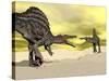 Two Spinosaurus Dinosaur Fighting in the Desert-null-Stretched Canvas