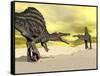 Two Spinosaurus Dinosaur Fighting in the Desert-null-Framed Stretched Canvas