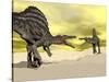 Two Spinosaurus Dinosaur Fighting in the Desert-null-Stretched Canvas