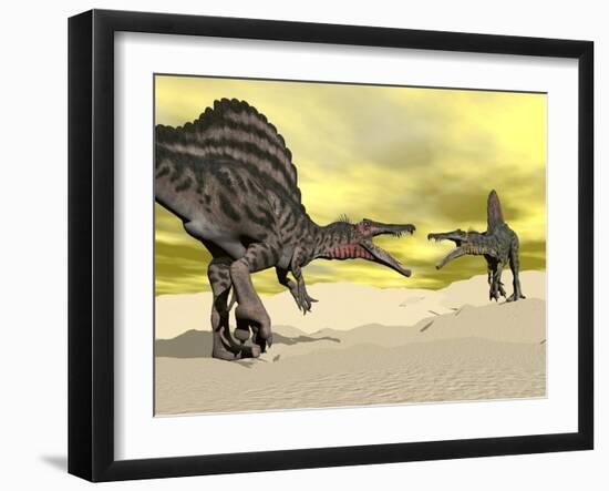 Two Spinosaurus Dinosaur Fighting in the Desert-null-Framed Art Print