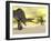 Two Spinosaurus Dinosaur Fighting in the Desert-null-Framed Art Print