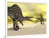 Two Spinosaurus Dinosaur Fighting in the Desert-null-Framed Art Print