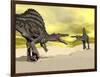 Two Spinosaurus Dinosaur Fighting in the Desert-null-Framed Art Print
