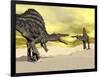 Two Spinosaurus Dinosaur Fighting in the Desert-null-Framed Art Print