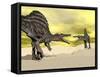 Two Spinosaurus Dinosaur Fighting in the Desert-null-Framed Stretched Canvas