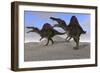 Two Spinosaurus Dinosaurs Hunting on Desert Terrain-null-Framed Art Print