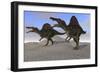 Two Spinosaurus Dinosaurs Hunting on Desert Terrain-null-Framed Art Print