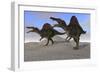 Two Spinosaurus Dinosaurs Hunting on Desert Terrain-null-Framed Art Print