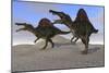 Two Spinosaurus Dinosaurs Hunting on Desert Terrain-null-Mounted Art Print