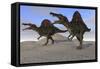 Two Spinosaurus Dinosaurs Hunting on Desert Terrain-null-Framed Stretched Canvas