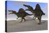 Two Spinosaurus Dinosaurs Hunting on Desert Terrain-null-Stretched Canvas