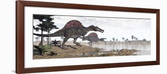 Two Spinosaurus Dinosaurs Walking to the Water in a Desert Landscape-null-Framed Premium Giclee Print