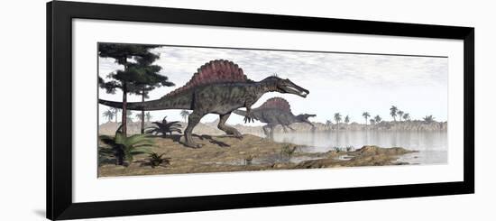 Two Spinosaurus Dinosaurs Walking to the Water in a Desert Landscape-null-Framed Premium Giclee Print