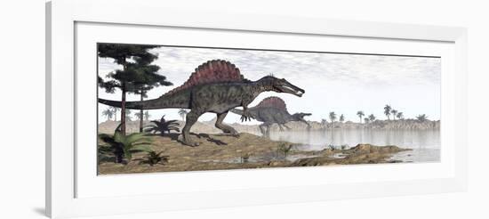 Two Spinosaurus Dinosaurs Walking to the Water in a Desert Landscape-null-Framed Art Print