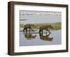 Two Spotted Hyena Walking Along the Edge of Lake Nakuru-James Hager-Framed Photographic Print