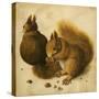 Two Squirrels, One Eating a Hazelnut-Hans Hoffmann-Stretched Canvas