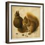 Two Squirrels, One Eating a Hazelnut-Hans Hoffmann-Framed Giclee Print