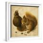 Two Squirrels, One Eating a Hazelnut-Hans Hoffmann-Framed Giclee Print