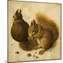 Two Squirrels, One Eating a Hazelnut-Hans Hoffmann-Mounted Giclee Print
