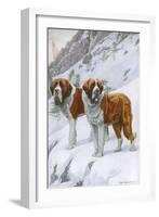 Two St Bernards in Snow-Louis Agassiz Fuertes-Framed Art Print