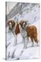 Two St Bernards in Snow-Louis Agassiz Fuertes-Stretched Canvas