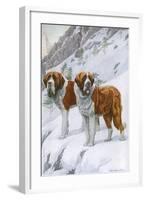 Two St Bernards in Snow-Louis Agassiz Fuertes-Framed Art Print