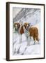 Two St Bernards in Snow-Louis Agassiz Fuertes-Framed Art Print